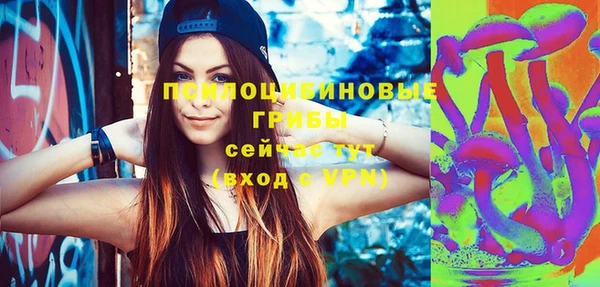 бошки Аркадак